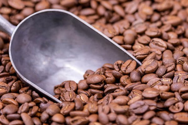 close up of coffee beans in a metal scoop